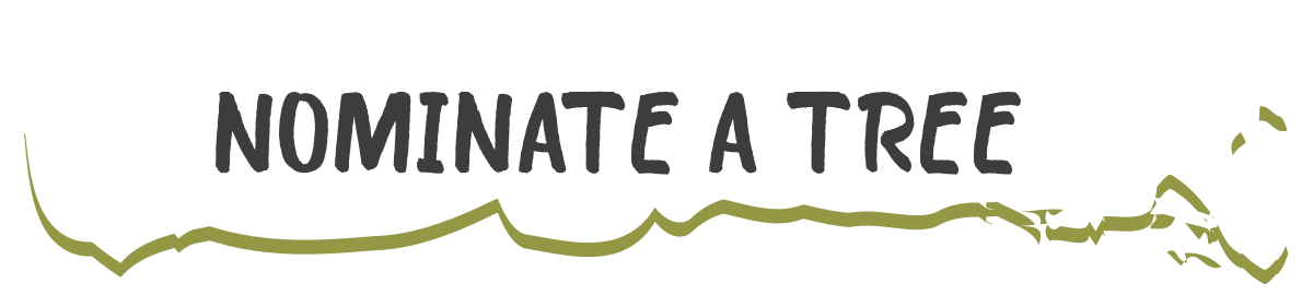 Nominate a tree